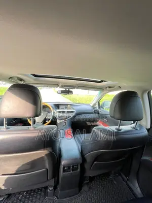 Lexus RX 350 2010 Gray