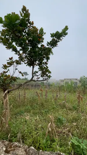 Buildable 850sqm Plot of Land
