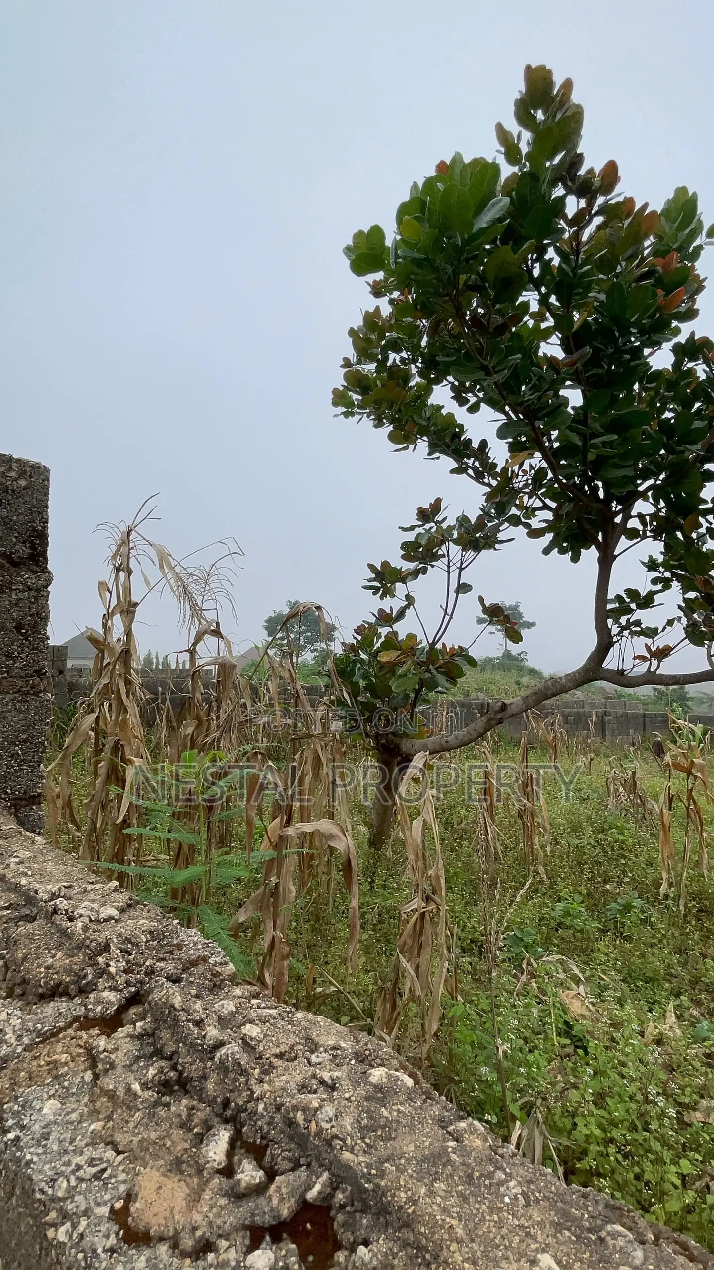 Buildable 850sqm Plot of Land