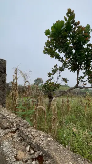 Buildable 850sqm Plot of Land