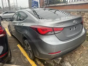 Hyundai Elantra 2014 Gray