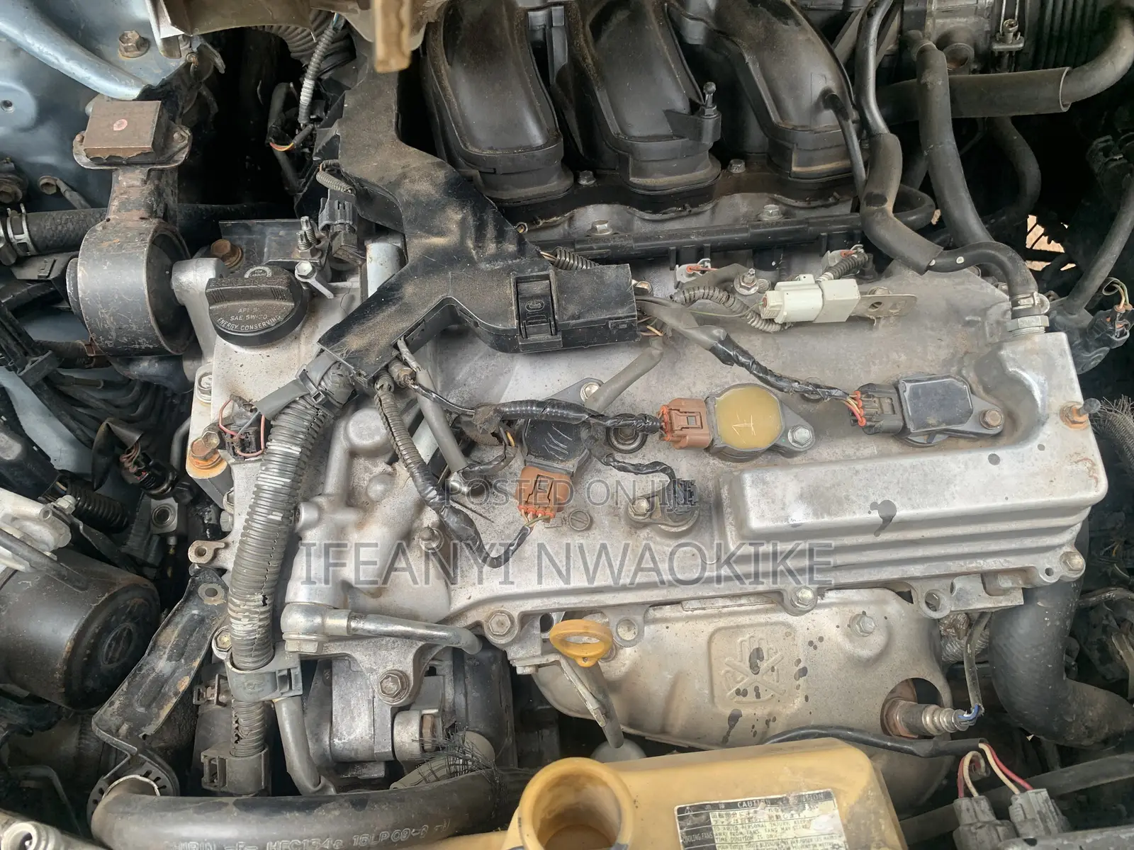 Lexus RX 330 2006 Blue