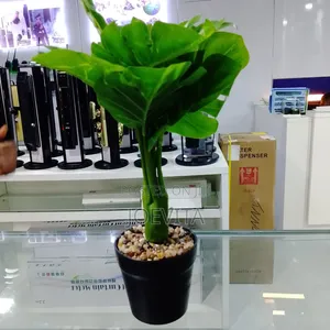 Flower Pot Camera