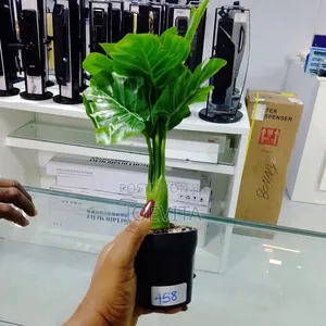 Flower Pot Camera