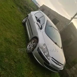 Peugeot 307 1.6 Premium 2005 Silver