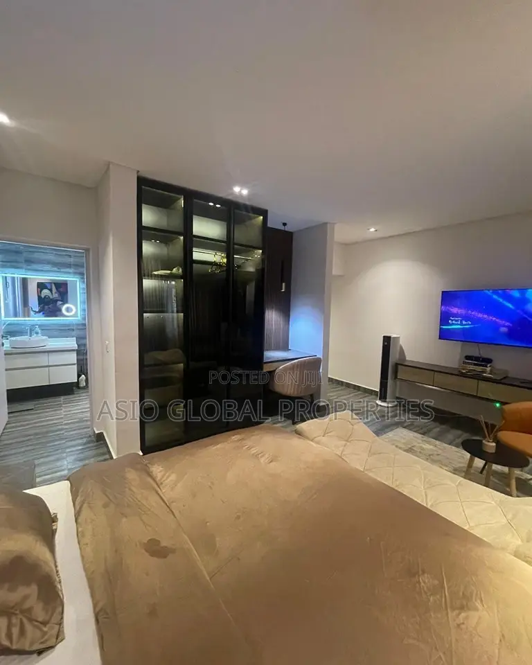 Spacious and Luxurious Studio Apartment in Yaba