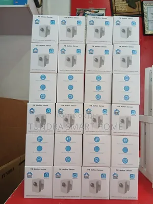 PIR Motion Sensor