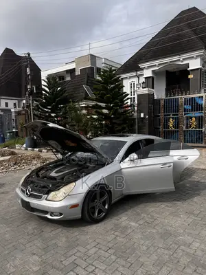 Mercedes-Benz CLS 2010 Silver