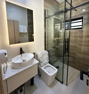 Spacious and Luxurious Studio Apartment in Ikeja