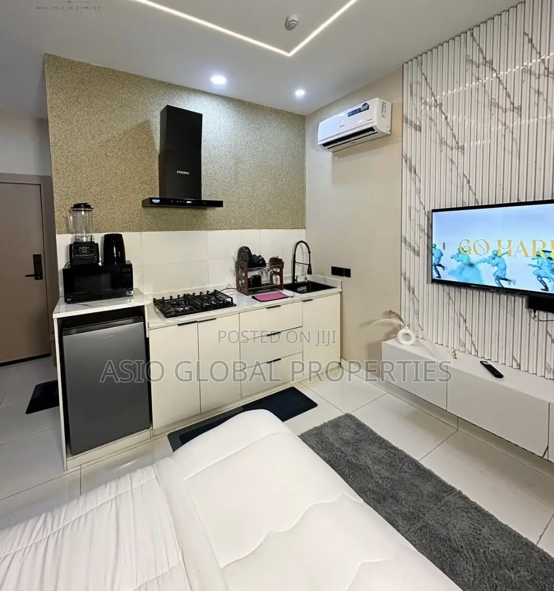 Spacious and Luxurious Studio Apartment in Ikeja