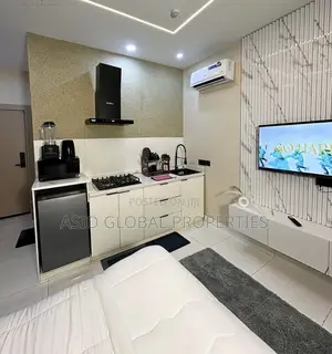 Spacious and Luxurious Studio Apartment in Ikeja