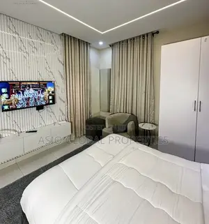 Spacious and Luxurious Studio Apartment in Ikeja