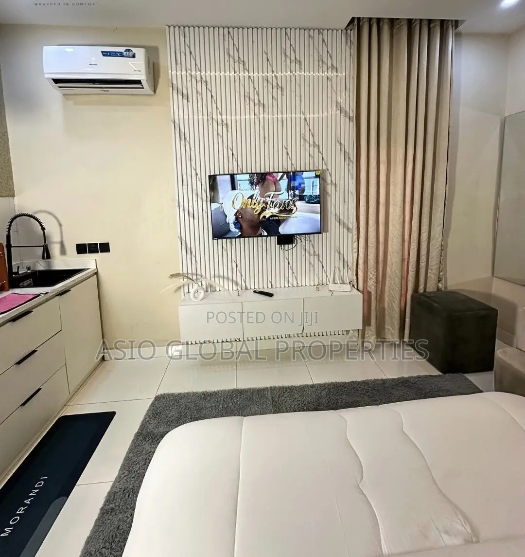 Spacious and Luxurious Studio Apartment in Ikeja