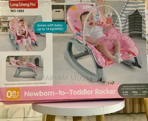 Baby Stroller and Rocker