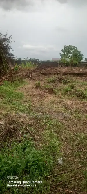 4 Plot of Land