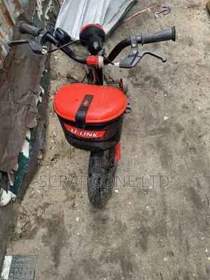 Bicycle for Kids Age 2-6 Size 12