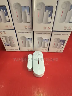Door & Window Detector Alarm