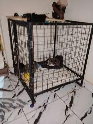 Dog Cage for Sale