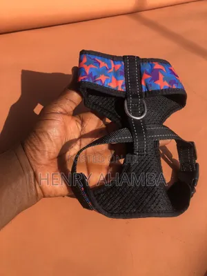 Adjustable Dog Harness for Small Dogs
