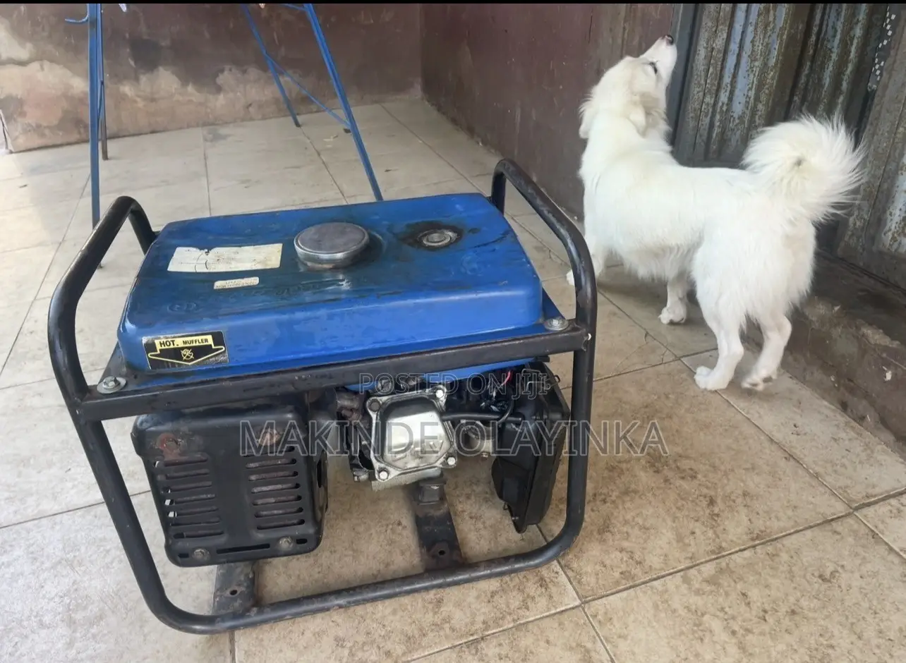 Tiger Generator