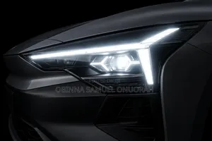 Big Sam Auto Lights LED Headlamp Display