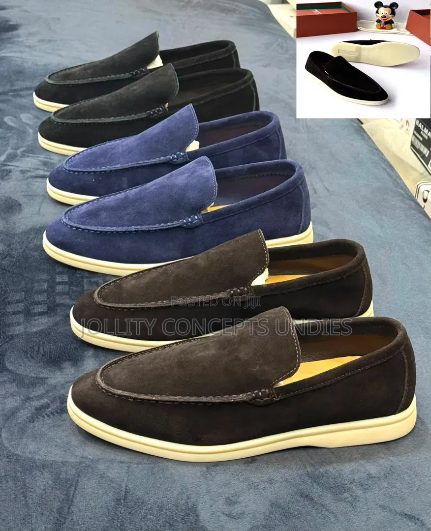 Santoni Suede Shoe