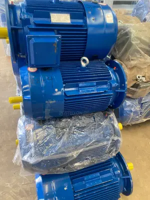 Three-Phase Asynchronous Electric Motor-Heavy Duty Industrial Motors