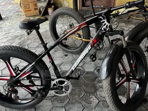 Sports Bicycle Big Tires (Used)