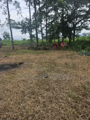 Joint Venture (JV) 12 Hectares Only