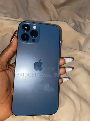 Apple iPhone 12 Pro Max 256 GB Blue