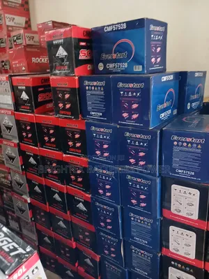 75ahs Everstart Premium Battery