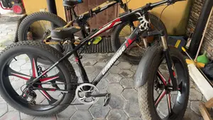 Sports Bicycle Big Tires (Used)