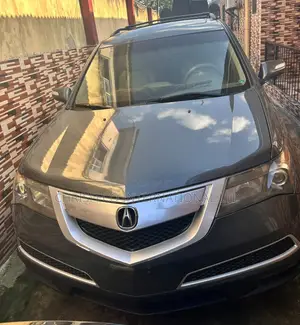 Acura MDX 2010 Gray