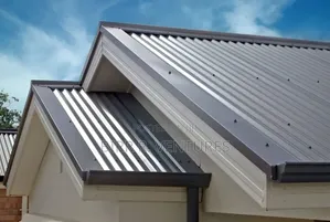 Writing
Steel Roofing for New Projects