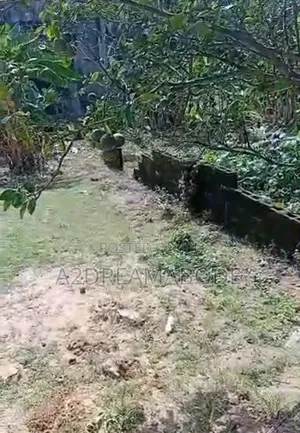 Exclusive Driveway Bareland