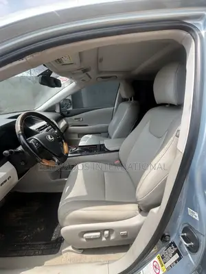 Lexus RX 2010 Blue