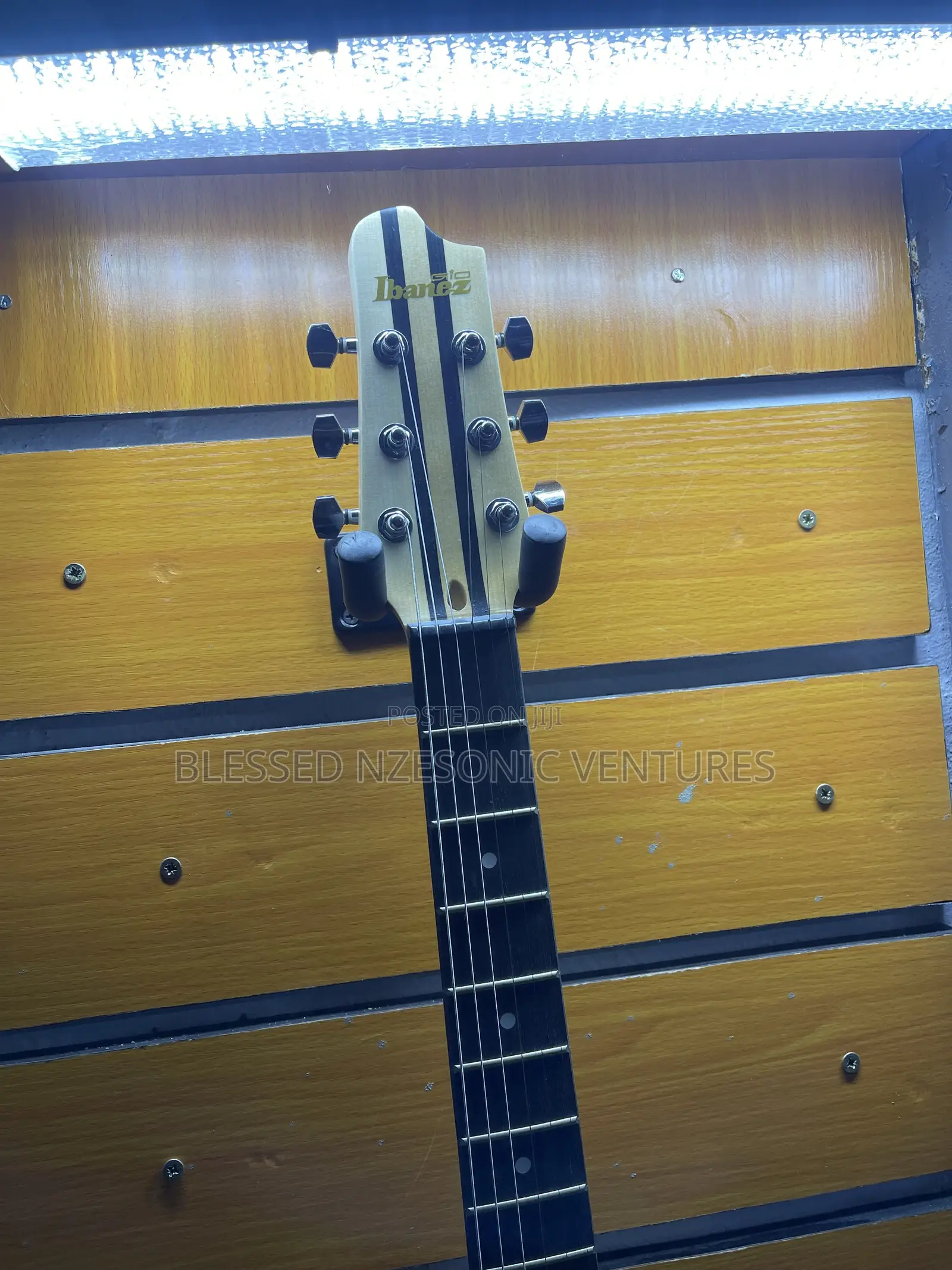 Leed Guitar