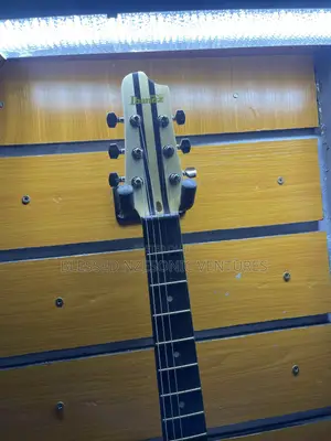 Leed Guitar
