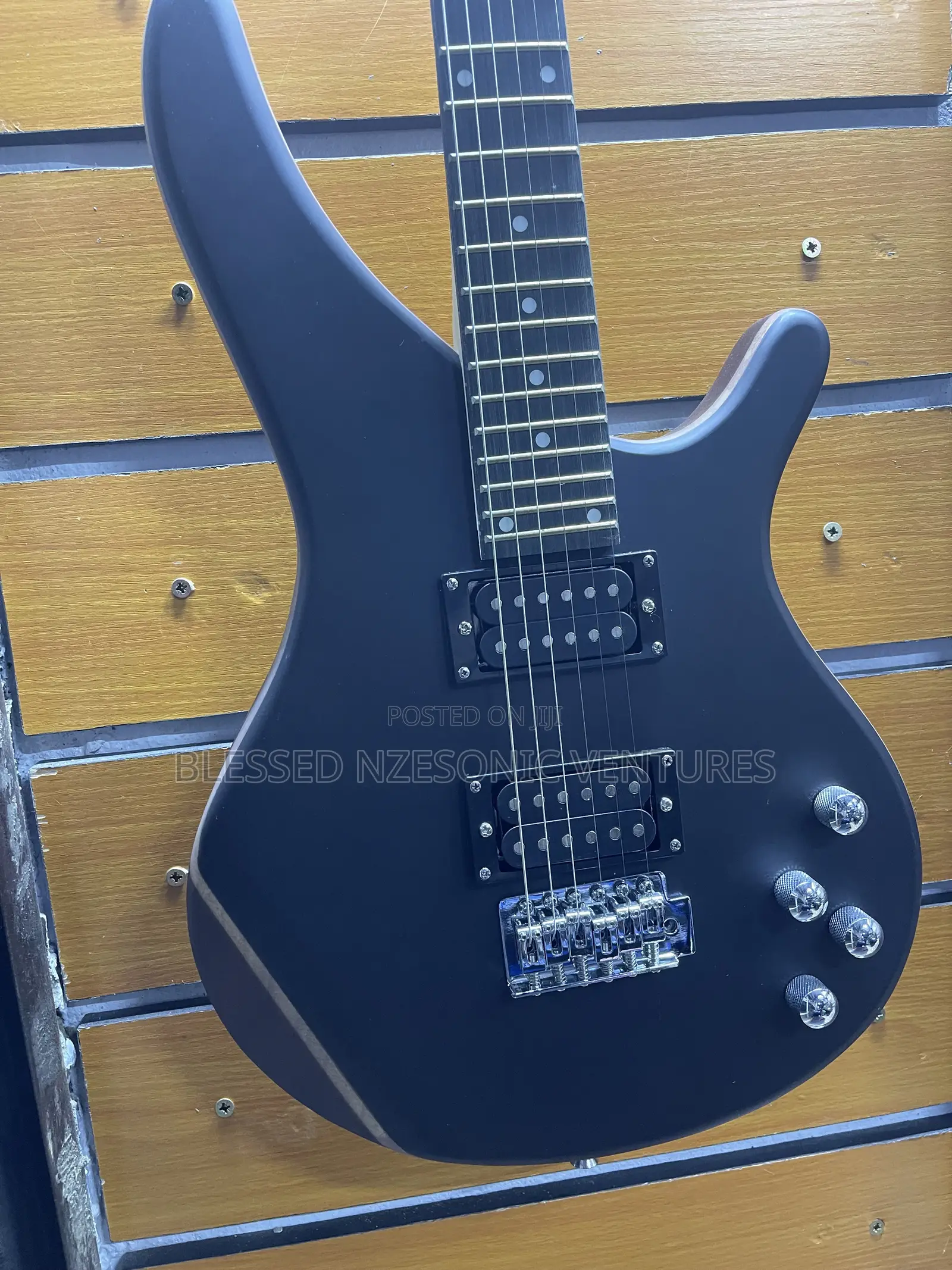 Leed Guitar