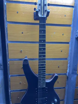 Leed Guitar