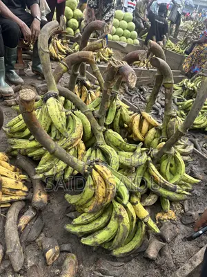 Ripe and Unripe Plantain in Bulk
