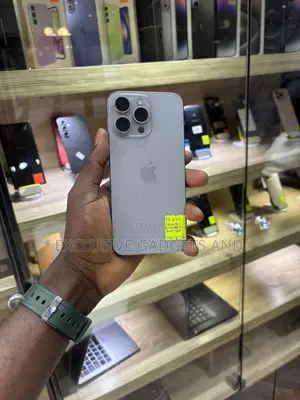 Apple iPhone 15 Pro Max 256 GB Silver
