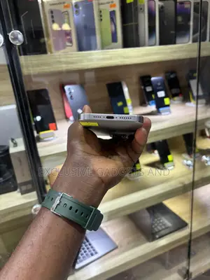 Apple iPhone 15 Pro Max 256 GB Silver