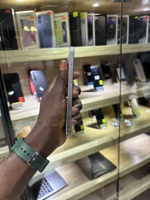 Apple iPhone 15 Pro Max 256 GB Silver