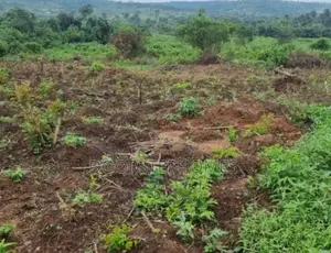 1868Sqm Residential Land for Sale in Kyami