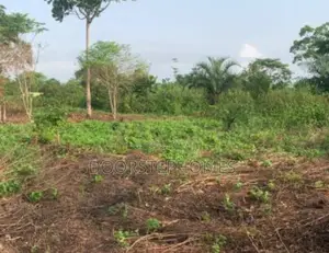 1868Sqm Residential Land for Sale in Kyami