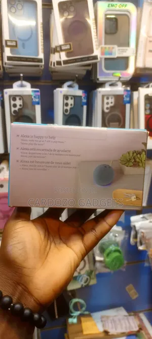 Echo Dot Alexa