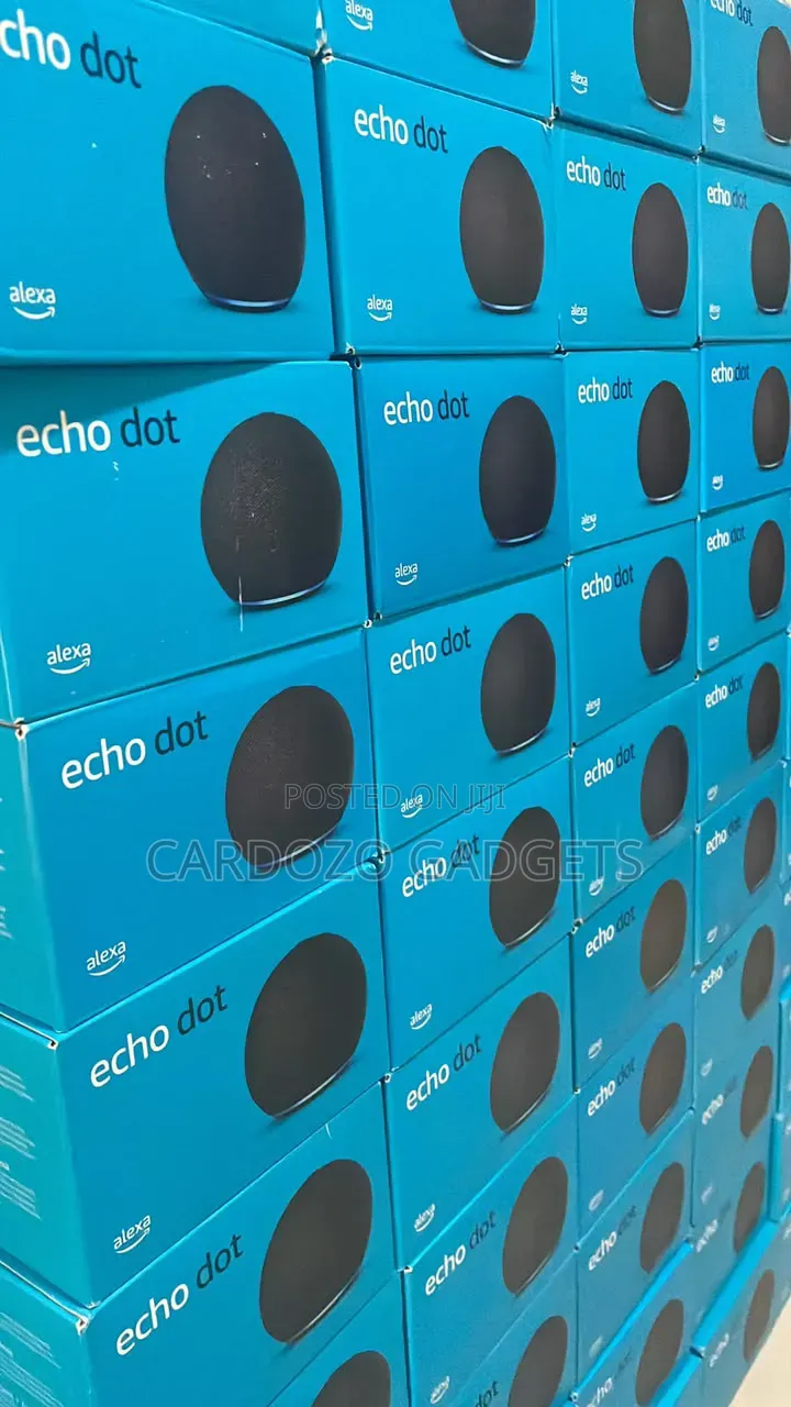 Echo Dot Alexa