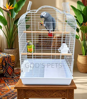 Cage for Bird