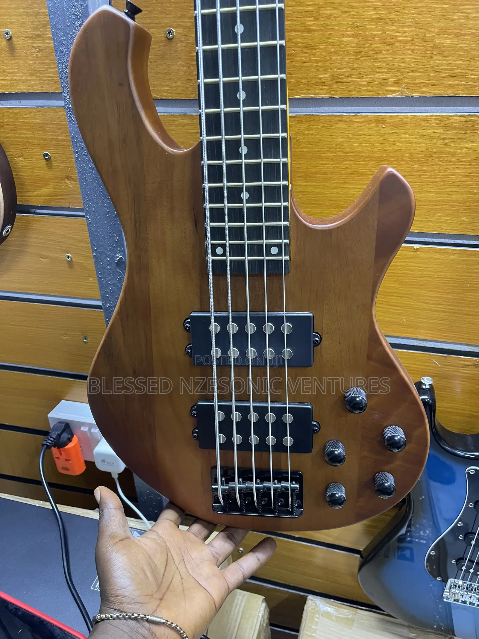 Professional Bass Guitar